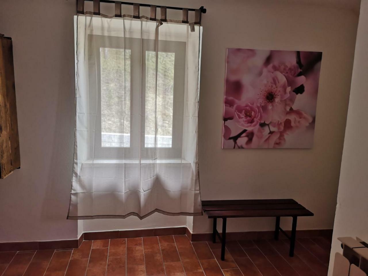 הוילה אסיסי Agriturismo Il Noceto מראה חיצוני תמונה
