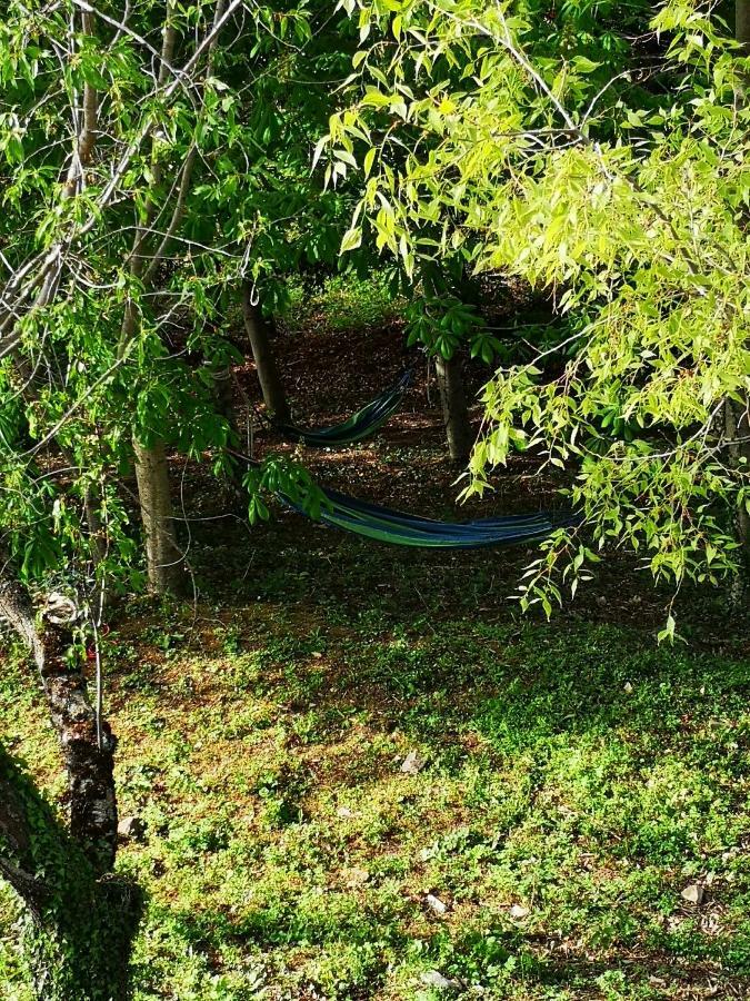 הוילה אסיסי Agriturismo Il Noceto מראה חיצוני תמונה