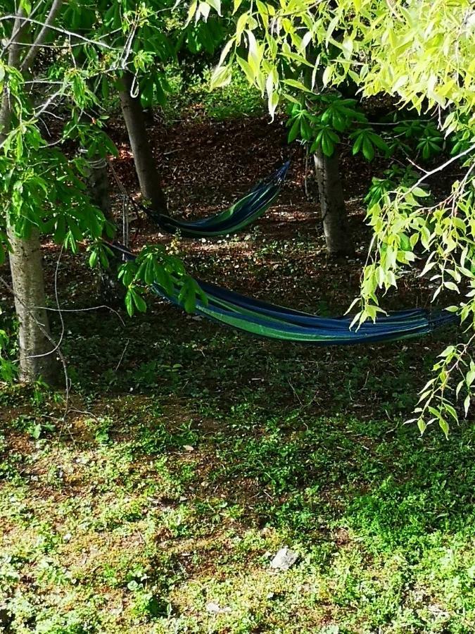 הוילה אסיסי Agriturismo Il Noceto מראה חיצוני תמונה