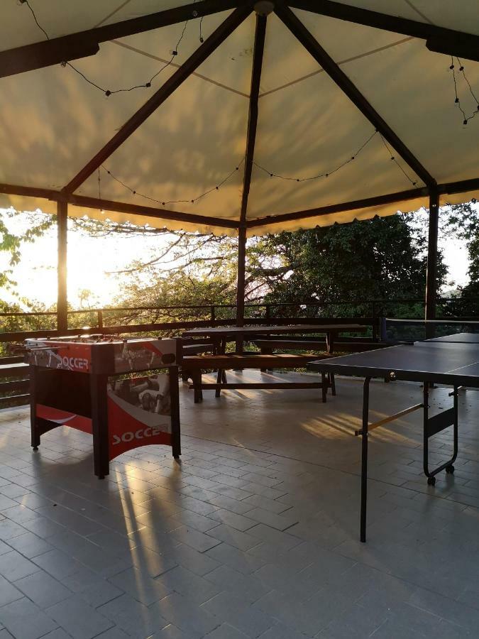 הוילה אסיסי Agriturismo Il Noceto מראה חיצוני תמונה