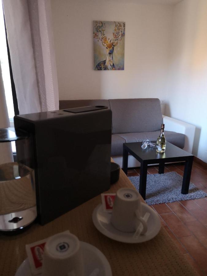 הוילה אסיסי Agriturismo Il Noceto מראה חיצוני תמונה