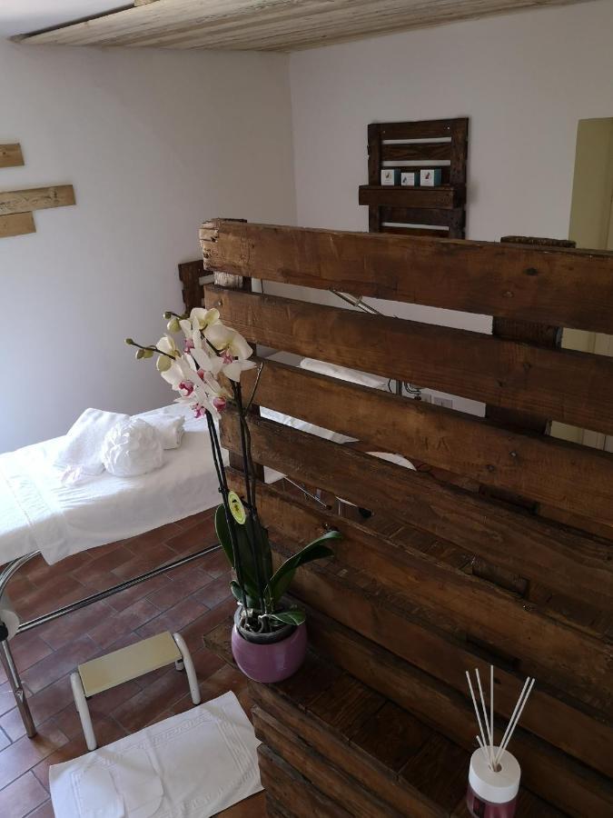 הוילה אסיסי Agriturismo Il Noceto מראה חיצוני תמונה