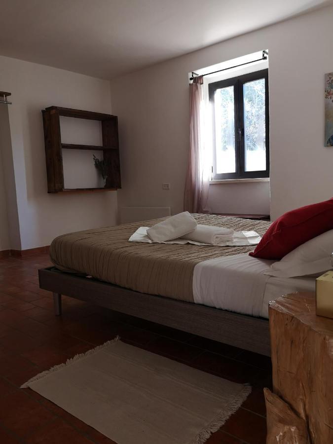 הוילה אסיסי Agriturismo Il Noceto מראה חיצוני תמונה