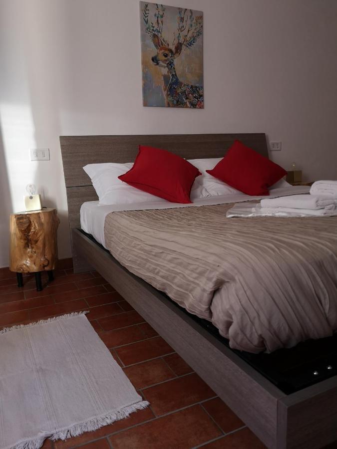 הוילה אסיסי Agriturismo Il Noceto מראה חיצוני תמונה