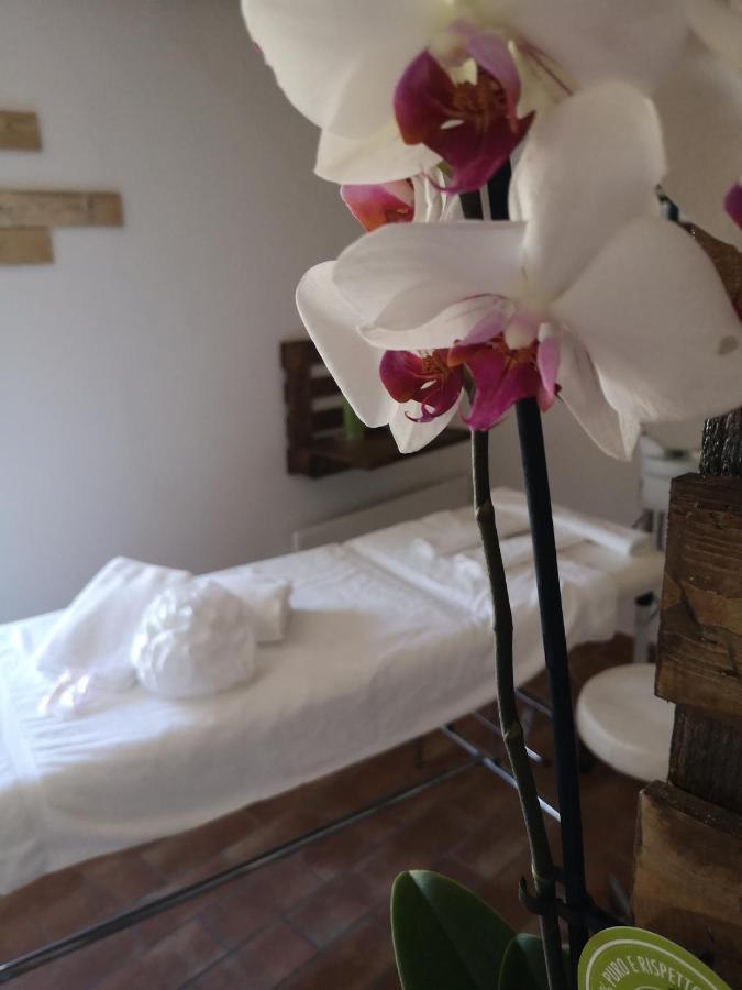 הוילה אסיסי Agriturismo Il Noceto מראה חיצוני תמונה